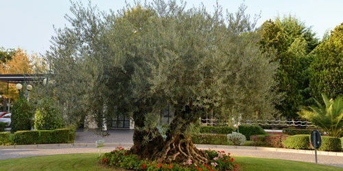 Bibione – miasto turystyczne we włoszech